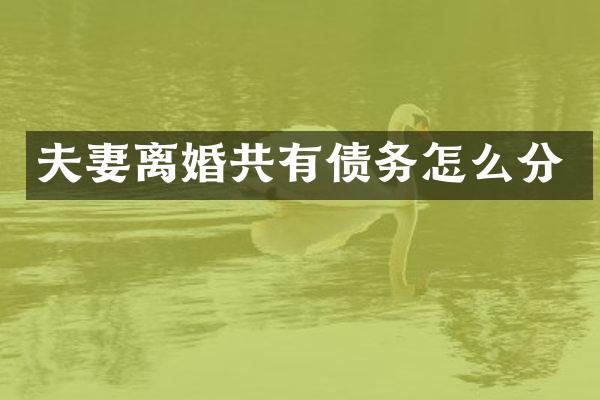 夫妻离婚共有债务怎么分