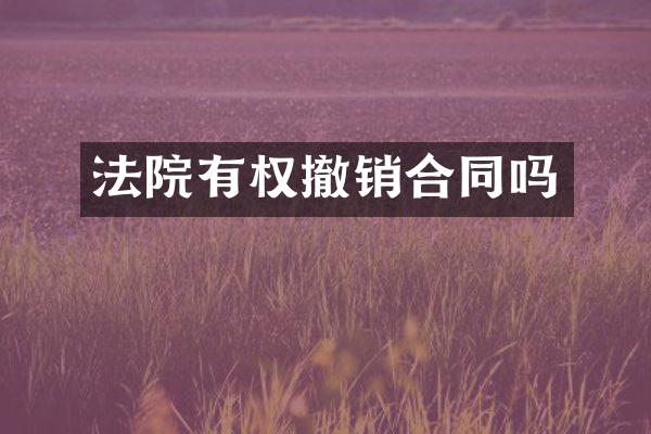 法院有权撤销合同吗