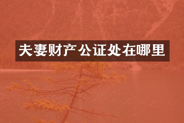 夫妻财产公证处在哪里