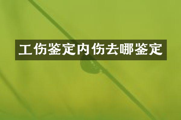 工伤鉴定内伤去哪鉴定