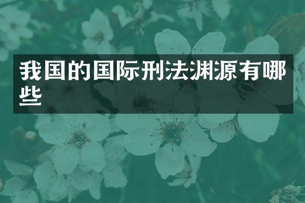 我国的国际刑法渊源有哪些