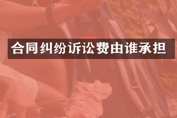 合同纠纷诉讼费由谁承担