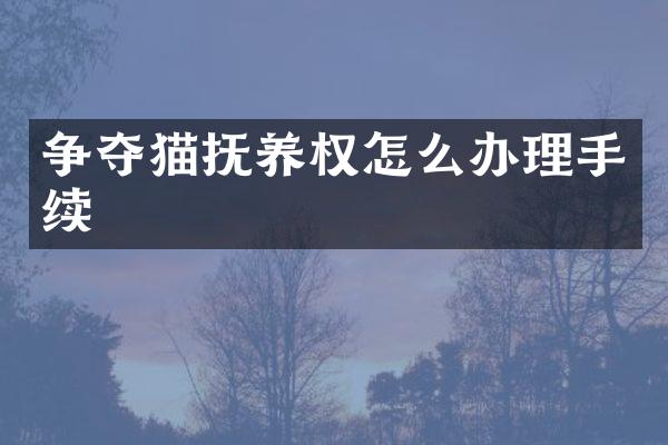 争夺猫抚养权怎么办理手续