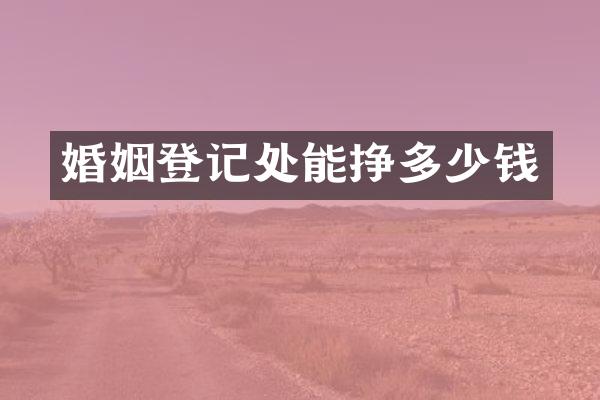 婚姻登记处能挣多少钱
