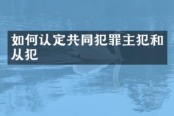如何认定共同犯罪和从犯