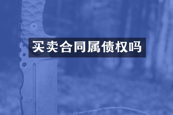 买卖合同属债权吗
