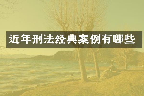 近年刑法经典案例有哪些