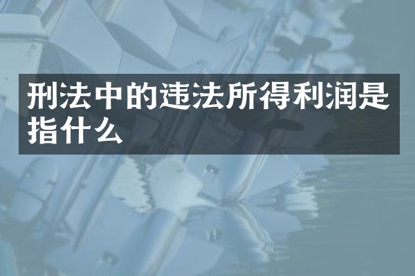 刑法中的违法所得利润是指什么