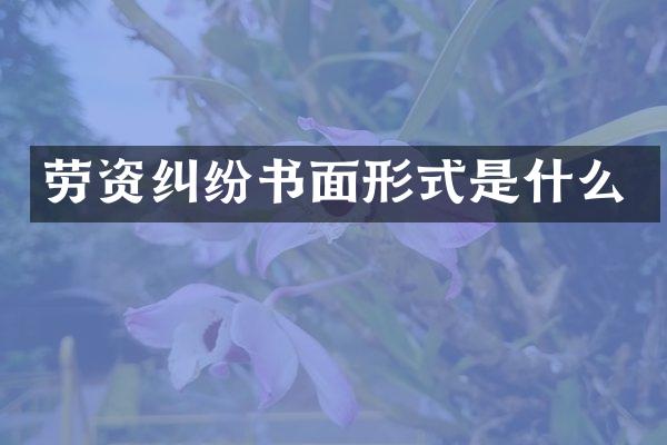 劳资纠纷书面形式是什么