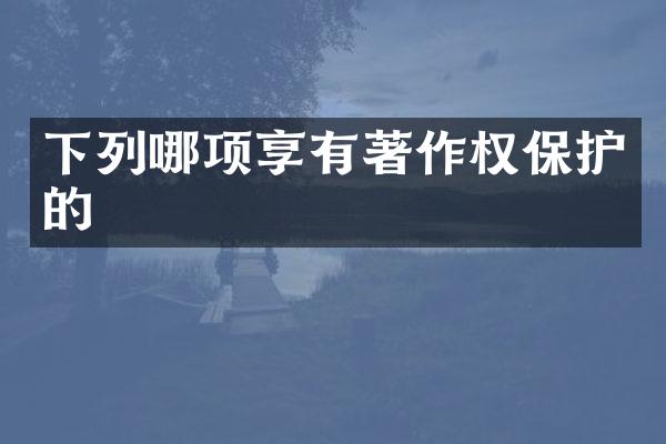 下列哪项享有著作权保护的