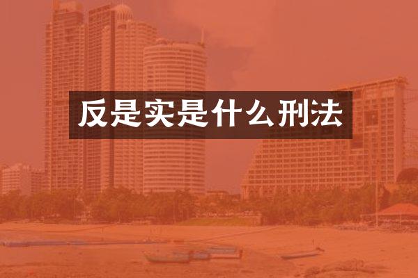 反是实是什么刑法