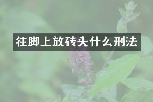 往脚上放砖头什么刑法