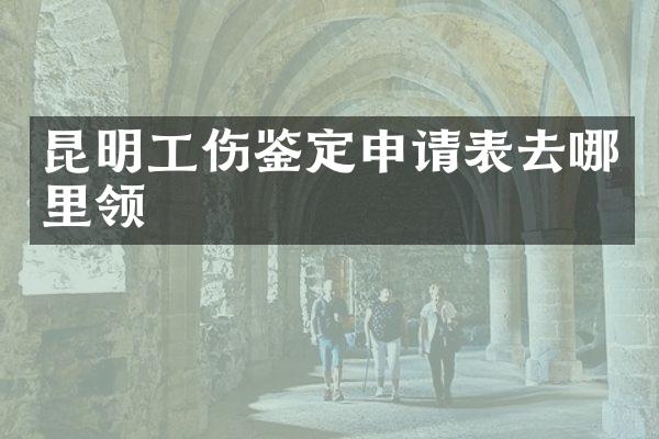 昆明工伤鉴定申请表去哪里领