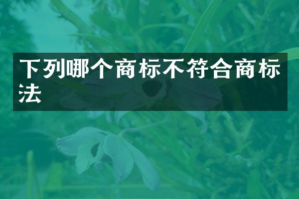 下列哪个商标不符合商标法