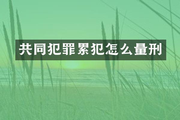 共同犯罪怎么量刑