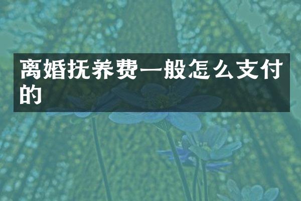 离婚抚养费一般怎么支付的