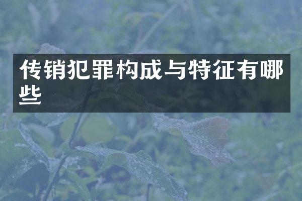 传销犯罪构成与特征有哪些