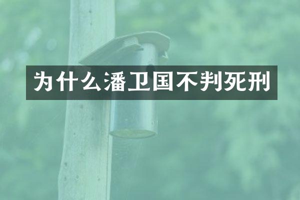 为什么潘卫国不判死刑