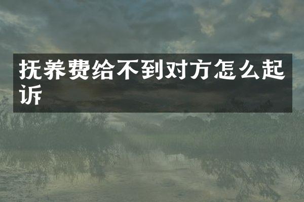 抚养费给不到对方怎么起诉
