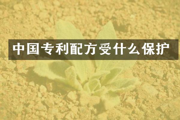 中国专利受什么保护