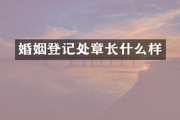 婚姻登记处章长什么样