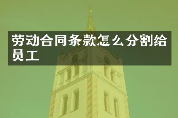 劳动合同条款怎么分割给员工