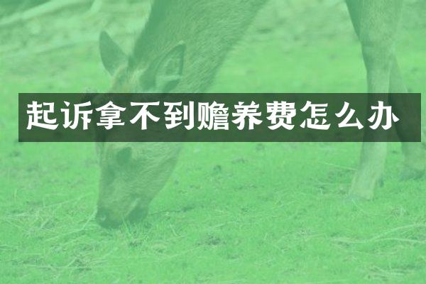 起诉拿不到赡养费怎么办