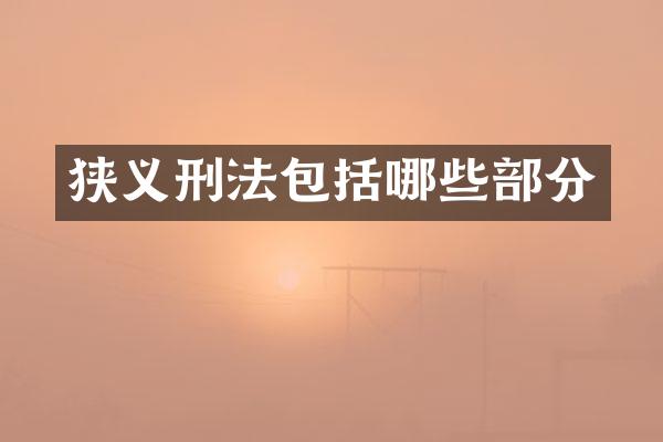 狭义刑法包括哪些部分