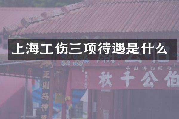 上海工伤三项待遇是什么