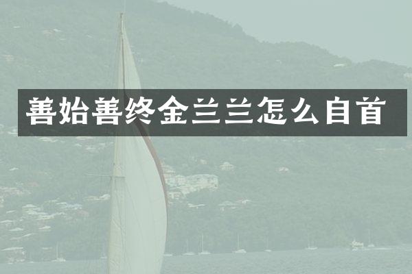 善始善终金兰兰怎么自首