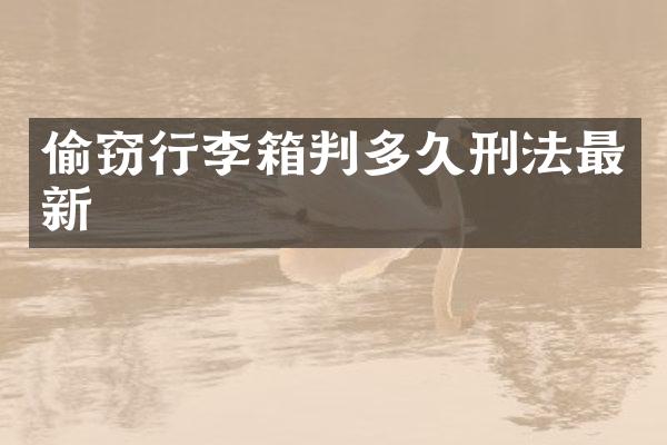偷窃行李箱判多久刑法最新