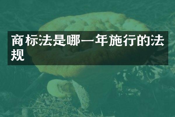 商标法是哪一年施行的法规