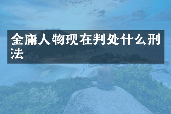 金庸人物现在判处什么刑法