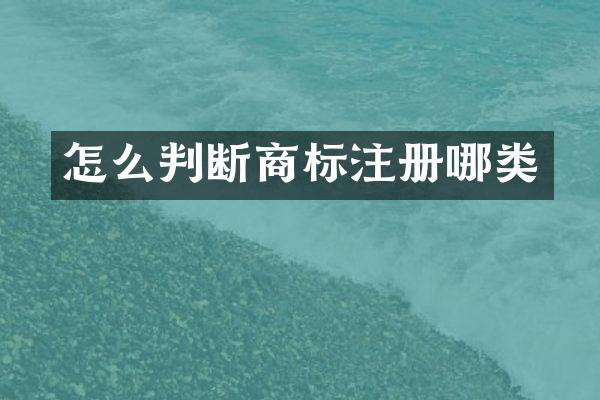 怎么判断商标注册哪类