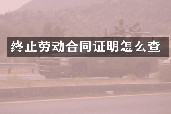 终止劳动合同证明怎么查