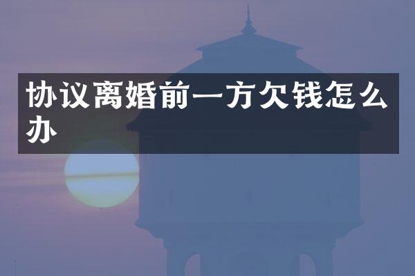 协议离婚前一方怎么办