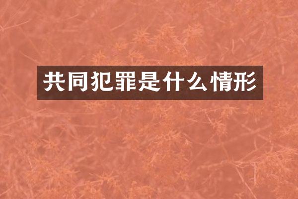 共同犯罪是什么情形