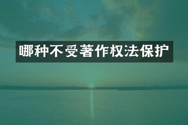 哪种不受著作权法保护