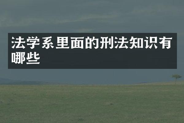 法学系里面的刑法知识有哪些