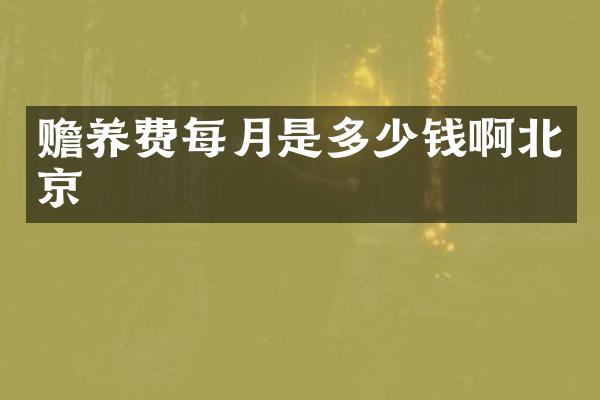 赡养费每月是多少钱啊北京