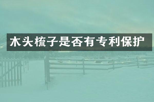 木头梳子是否有专利保护