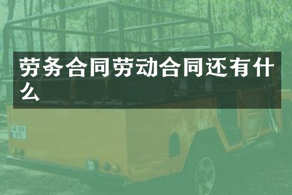 劳务合同劳动合同还有什么