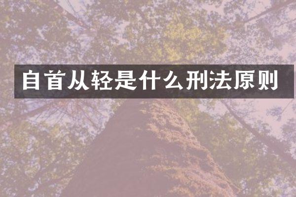 自首从轻是什么刑法原则
