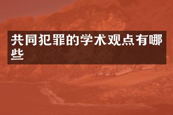 共同犯罪的学术观点有哪些