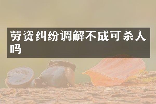 劳资纠纷调解不成可吗