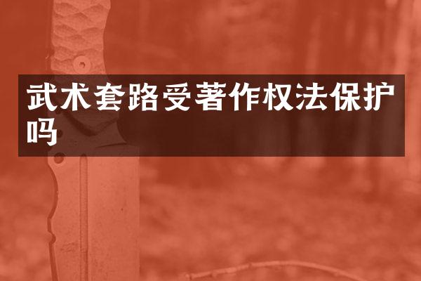 武术套路受著作权法保护吗