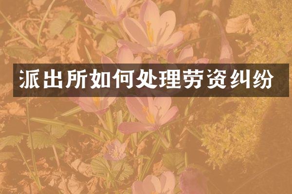 派出所如何处理劳资纠纷