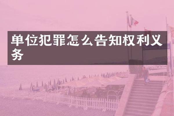 单位犯罪怎么告知权利义务