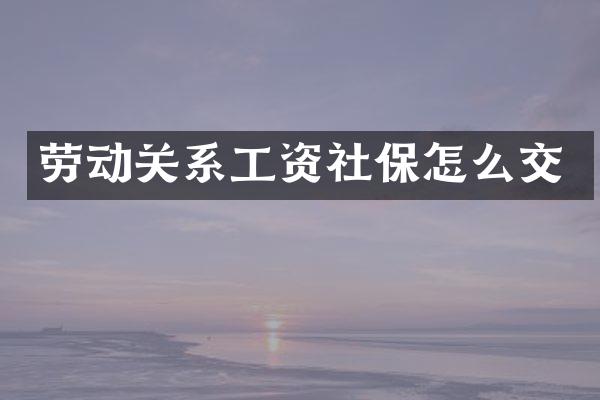 劳动关系工资社保怎么交
