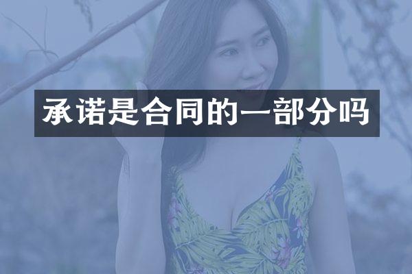 承诺是合同的一部分吗